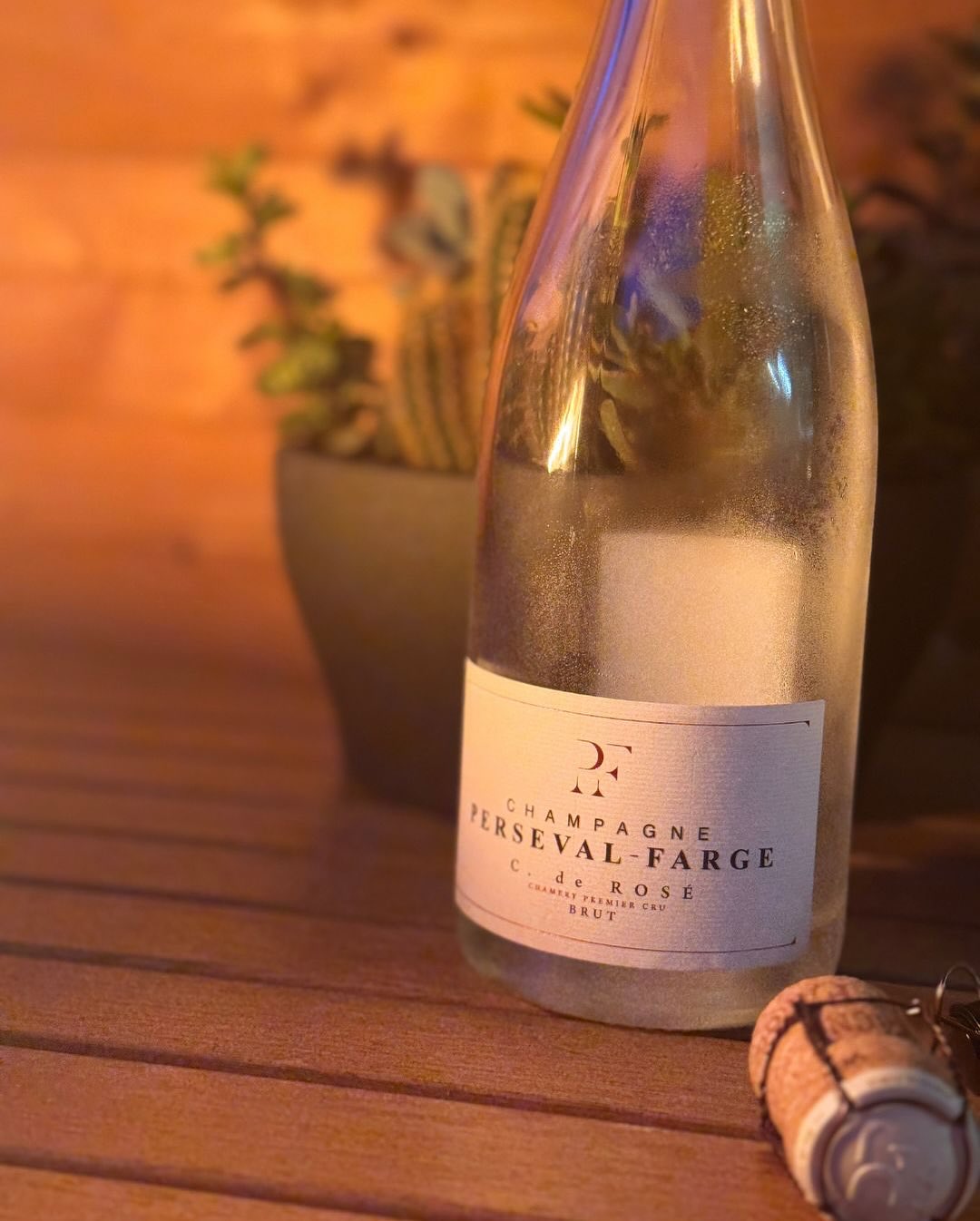 Diesen C. de Rosé von @persevalfarge haben wir gestern Abend geöffnet – schon zu kühl, um einfach so draußen zu sitzen. Aber mit einer großen Kerze, die ordentlich Wärme abstrah… (5)