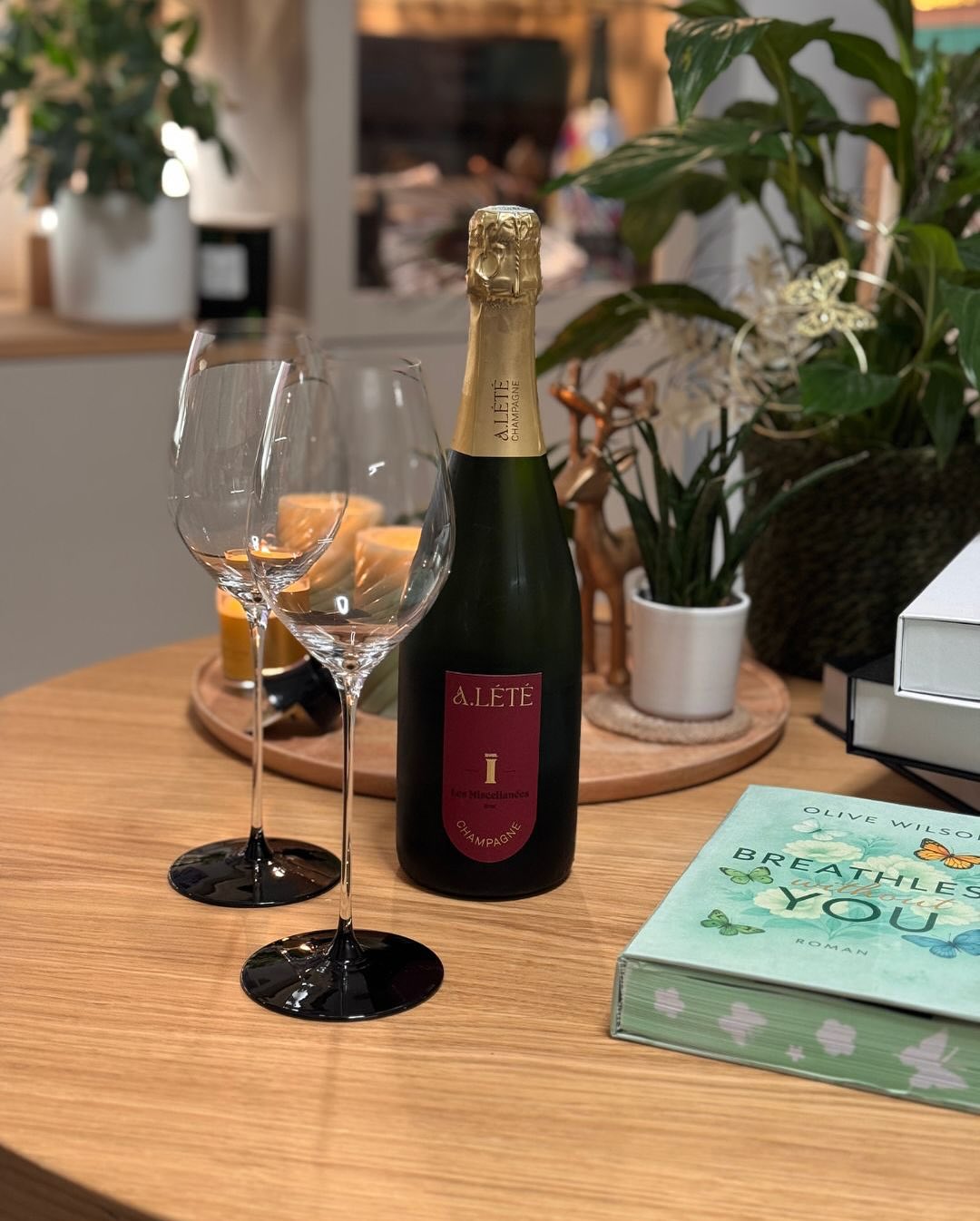 Was tut man eigentlich mit einem Buch, wenn es fertig geschrieben ist – aber man noch nicht weiß, ob Verlag, Agentur oder doch Self-Publishing? Diese Frage hat sich meine Frau d… (3)