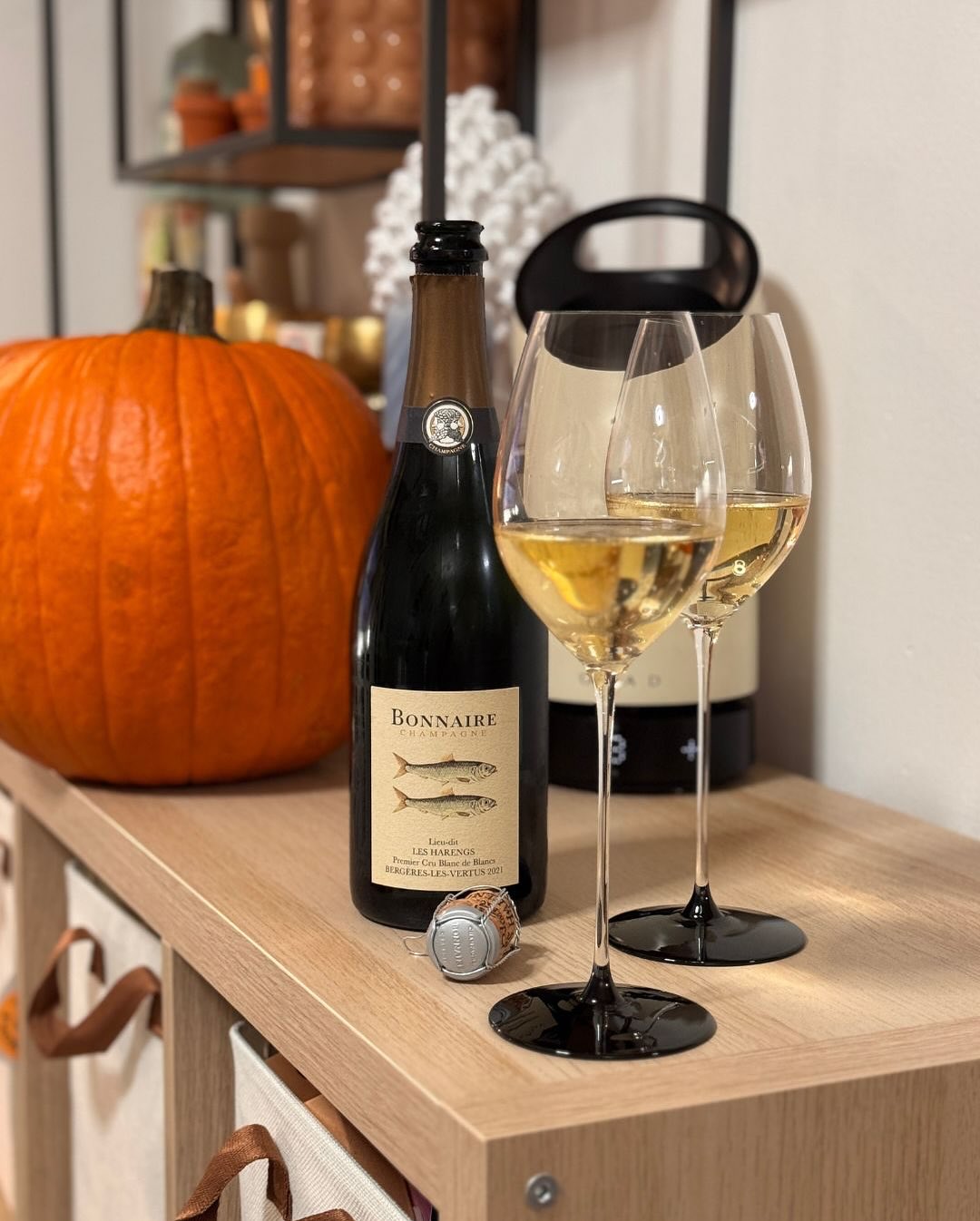 Pünktlich zum Global Champagne Day – und zum Start in die Herbstferien – kam gestern ein Paket von @bonnaireclouet an. Den „Les Harengs 2021“ habe ich direkt für den Abend ausge… (6)