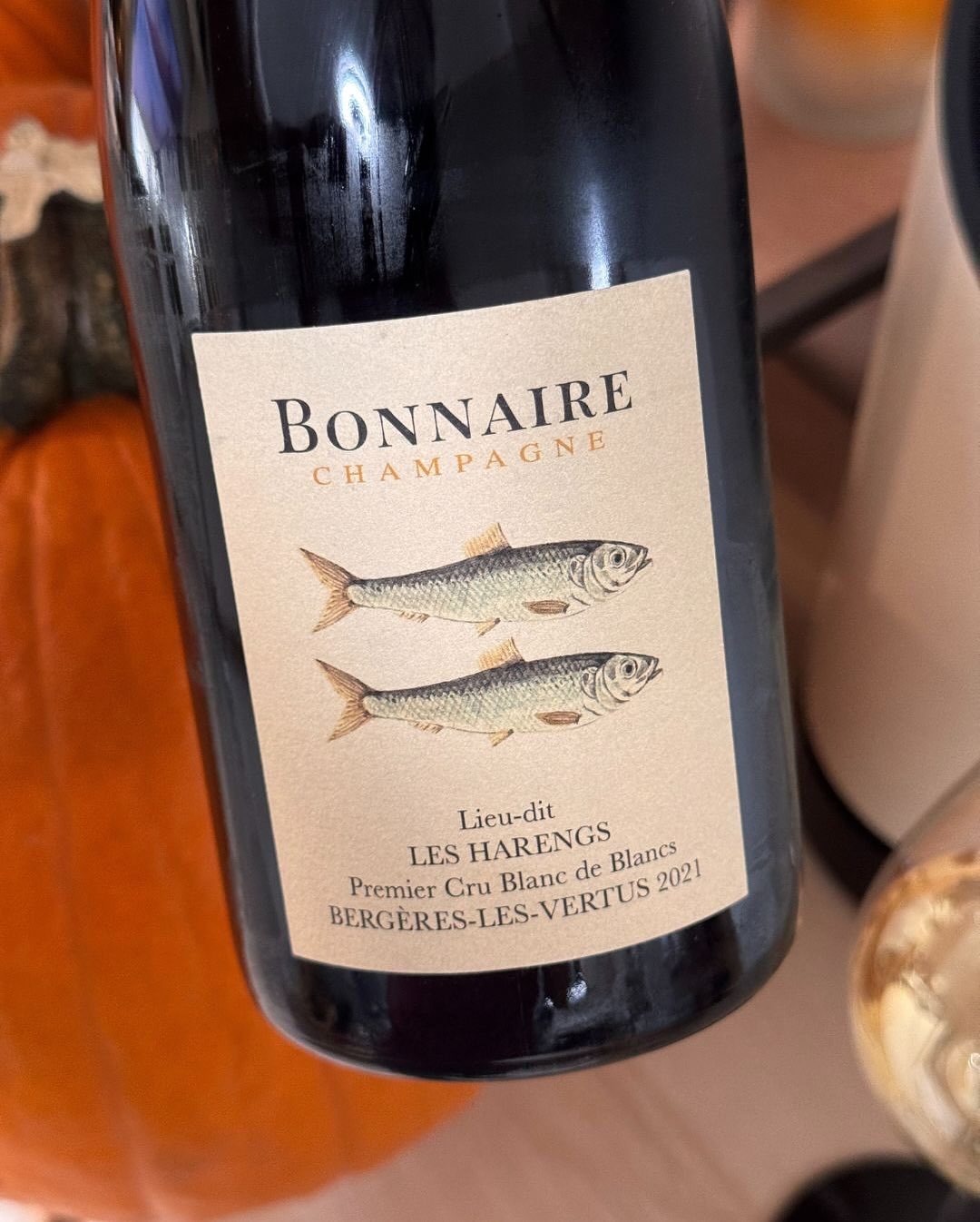 Pünktlich zum Global Champagne Day – und zum Start in die Herbstferien – kam gestern ein Paket von @bonnaireclouet an. Den „Les Harengs 2021“ habe ich direkt für den Abend ausge… (7)