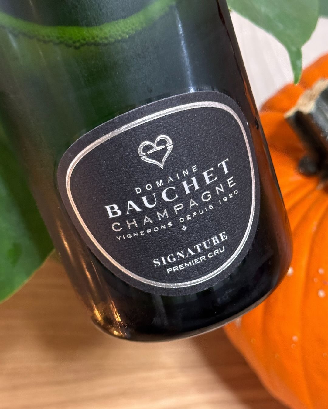 Gestern erreichte mich ein tolles Paket von @domainebauchet – und ich wollte direkt die erste Flasche öffnen, um zu sehen, was das Haus ausmacht. Die Wahl fiel auf den Signature… (10)