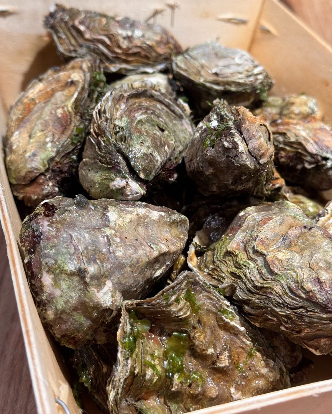 Vorgestern Abend war mal wieder Seafood angesagt. Ich war bei @sofisch_graz shoppen und hab neben Austern auch noch Jakobsmuscheln mitgebracht – dazu aber mehr im nächsten Post.… (4)