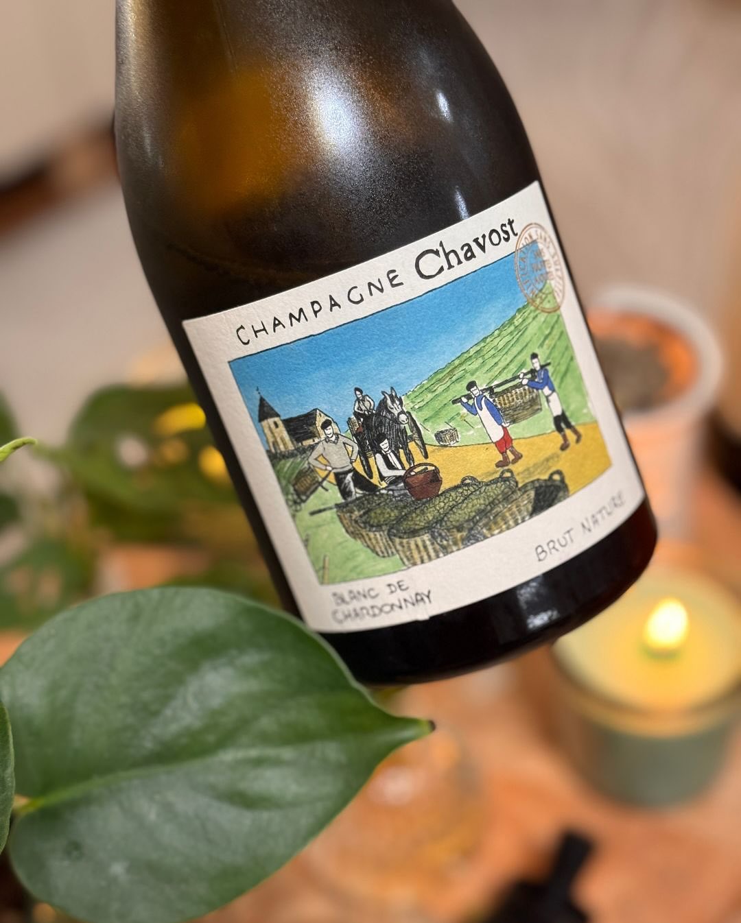Ich hatte in den letzten Monaten einige wirklich schöne Begegnungen mit @champagnechavost – jede Flasche präzise, lebendig, modern gedacht. Gestern dann aber: das erste Mal „Ma… (8)