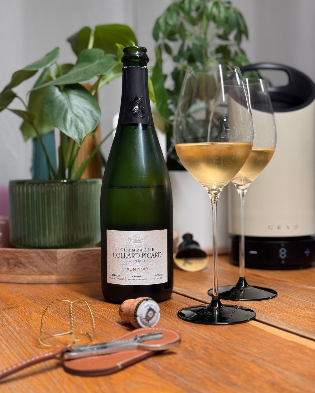 Gestern habe ich die erste Flasche von @champagnecollardpicard probiert – und zwar den ADN Noir. Ein Blanc de Noirs aus 50 % Meunier und 50 % Pinot Noir, spontanvergoren und kom… (1)