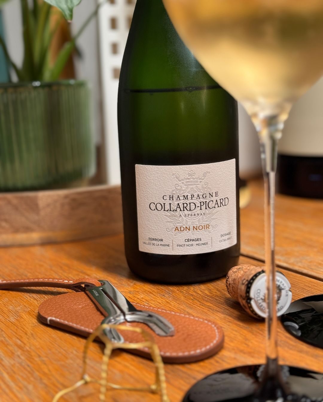 Gestern habe ich die erste Flasche von @champagnecollardpicard probiert – und zwar den ADN Noir. Ein Blanc de Noirs aus 50 % Meunier und 50 % Pinot Noir, spontanvergoren und kom… (9)