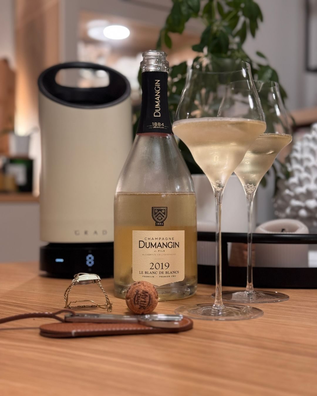 Es war mal wieder Zeit für etwas Geradliniges, Helles, Zitrisches — also habe ich den @champagnedumangin – Blanc de Blancs 2019 geöffnet. Ein Premier Cru, reinsortig Chardonnay,… (3)