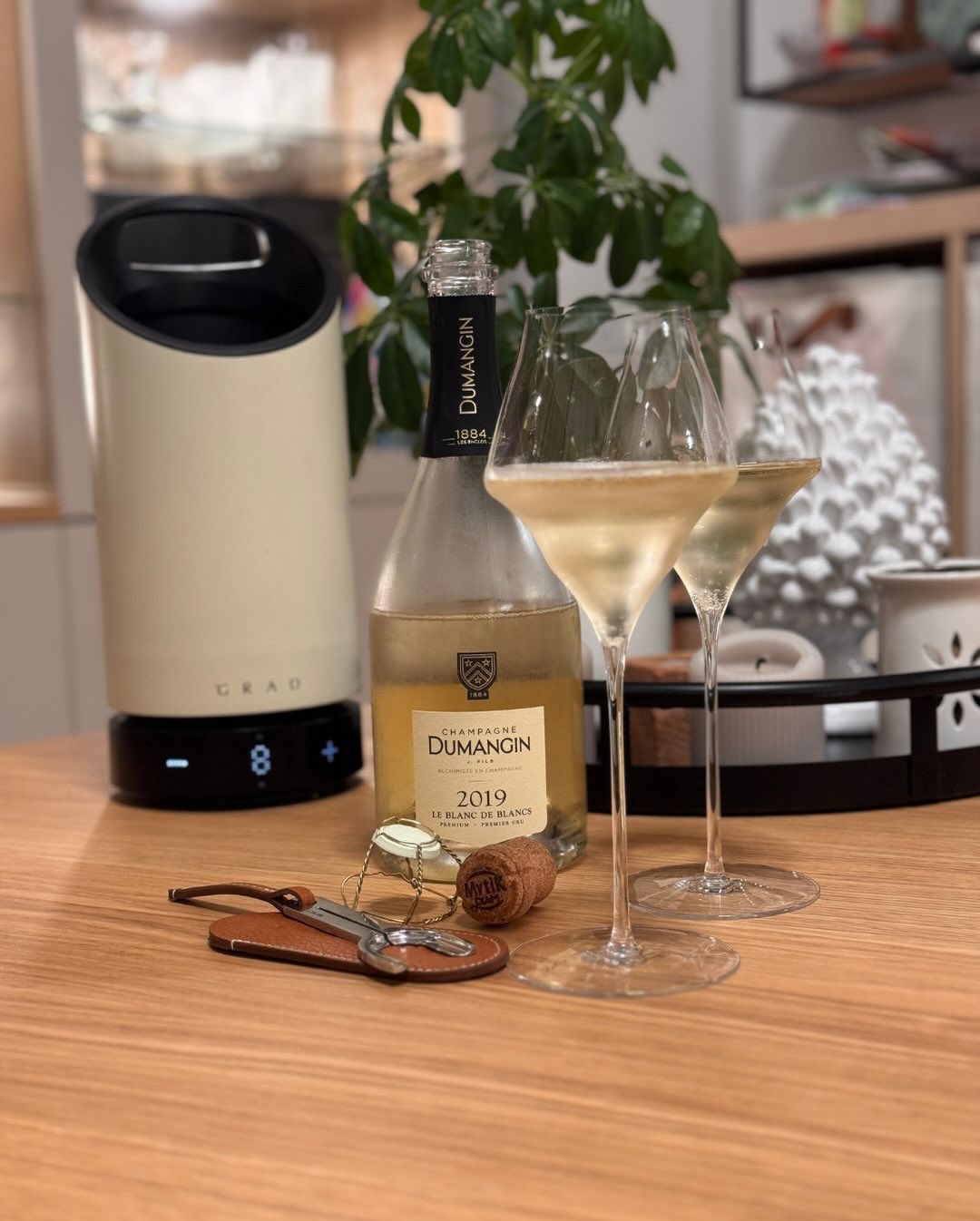 Es war mal wieder Zeit für etwas Geradliniges, Helles, Zitrisches — also habe ich den @champagnedumangin – Blanc de Blancs 2019 geöffnet. Ein Premier Cru, reinsortig Chardonnay,… (8)
