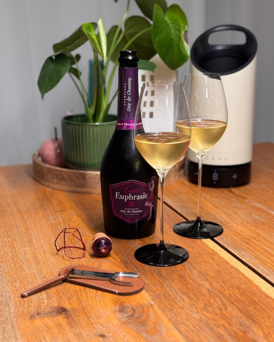 In meiner Journey merke ich jetzt nach fast einem Jahr immer wieder, wie normal es für mich geworden ist, Champagner zu trinken. Deswegen probiere ich auch immer wieder mal eine… (5)
