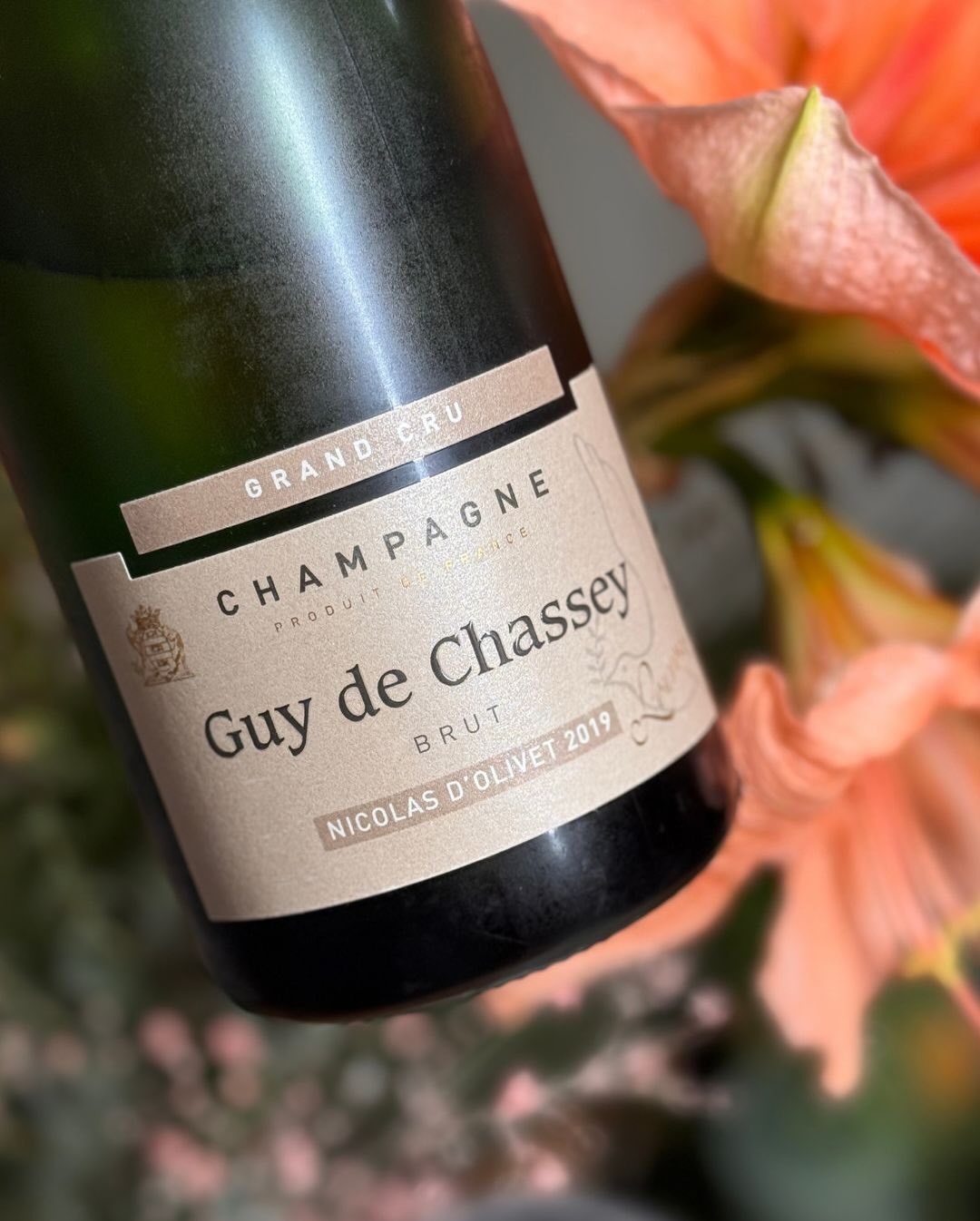 Der Nicolas d’Olivet 2019 von @champagneguydechassey wirkt von Anfang an sehr klar und ruhig. Die goldene Farbe passt zum Stil: präzise, frisch, ohne jede Schwere. Aromatisch bl… (9)