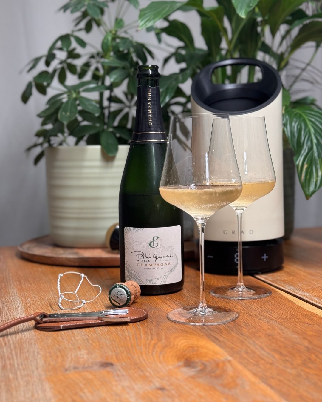 Der Blanc de Blancs von @champagnepehuguiardeletfils ist für mich eine Besondere Flasche. Péhu Guiardel & Fils war einer der ersten Winzer, von dem ich ganz am Anfang meiner Jou… (1)