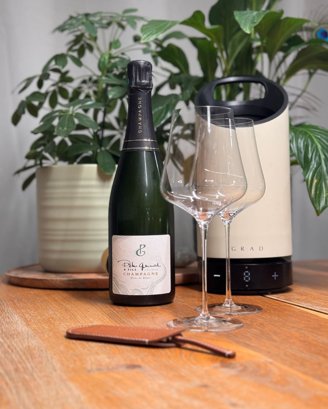 Der Blanc de Blancs von @champagnepehuguiardeletfils ist für mich eine Besondere Flasche. Péhu Guiardel & Fils war einer der ersten Winzer, von dem ich ganz am Anfang meiner Jou… (3)