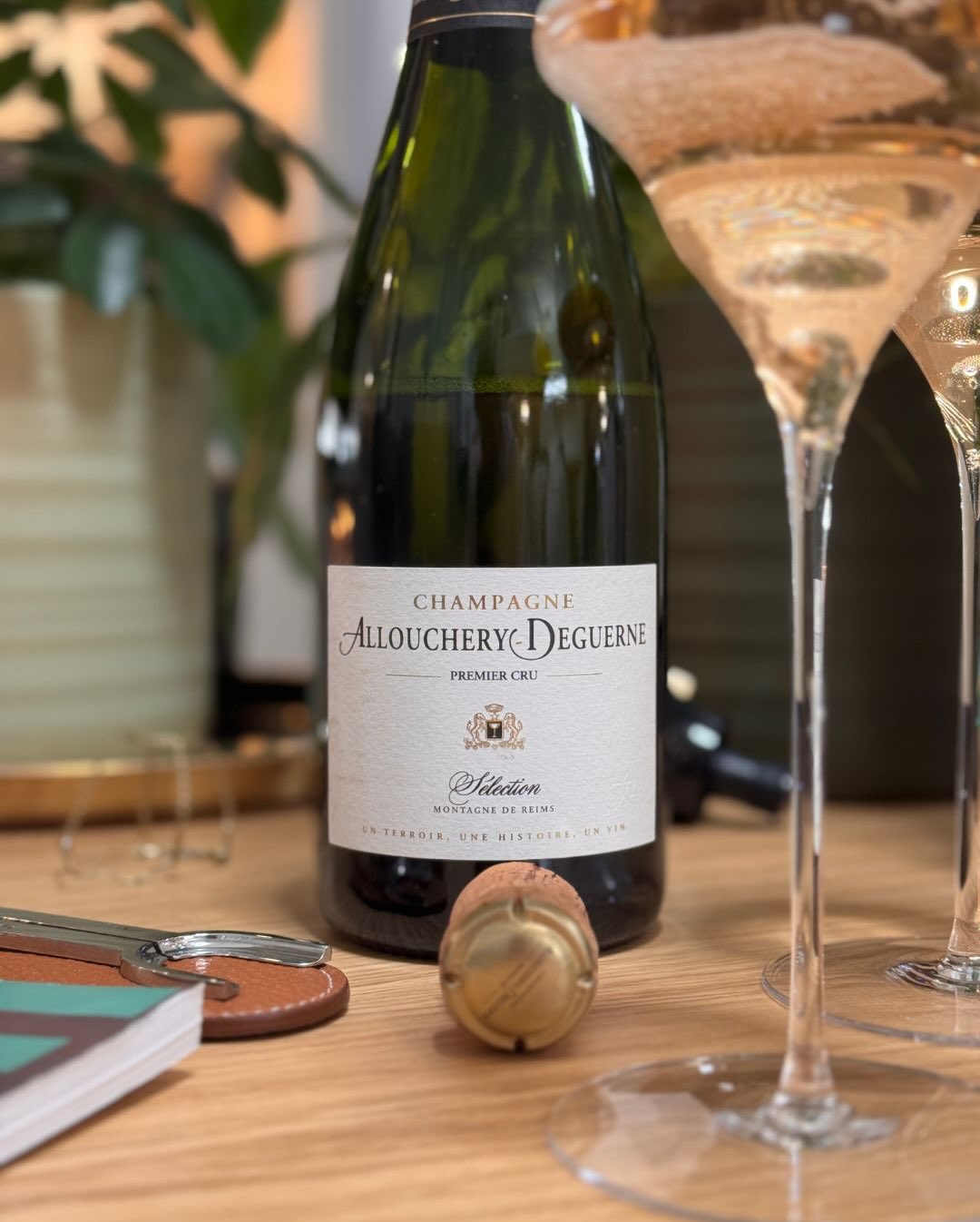 Vor ein paar Tagen kam das neue FINE Wine Magazin – diesmal mit einer wirklich schönen Geschichte über Billecart-Salmon. Ausgerechnet aus diesem Haus hatte ich nichts im Keller.… (7)