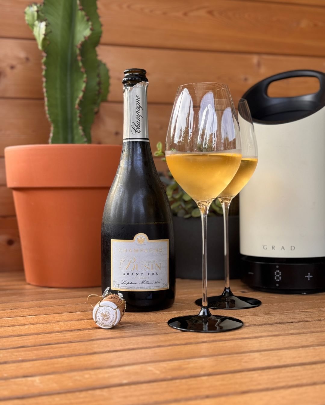 Die Les Potences - Cuvée Blanche Grand Cru von @champagnejacquesbusin habe ich an einem Nachmittag I’m letzten Sommer genossen: lange, warme Sonne, ein paar Gedanken und kein Ze… (1)