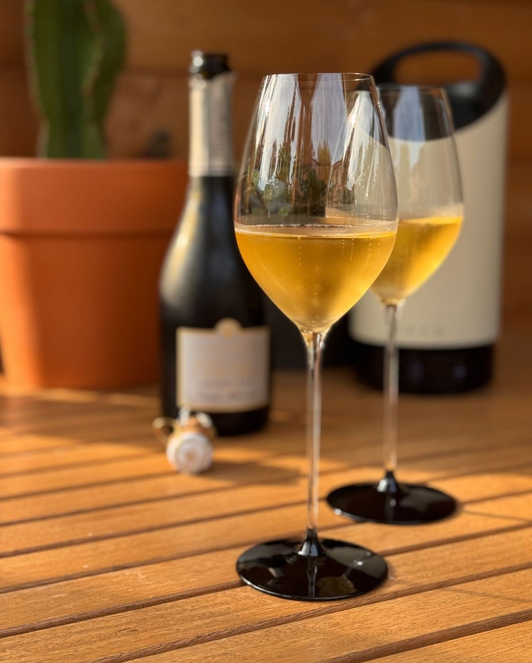 Die Les Potences - Cuvée Blanche Grand Cru von @champagnejacquesbusin habe ich an einem Nachmittag I’m letzten Sommer genossen: lange, warme Sonne, ein paar Gedanken und kein Ze… (3)