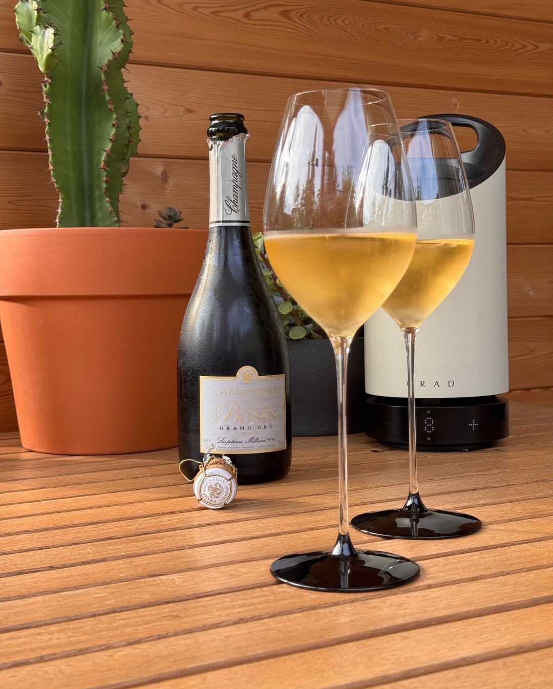 Die Les Potences - Cuvée Blanche Grand Cru von @champagnejacquesbusin habe ich an einem Nachmittag I’m letzten Sommer genossen: lange, warme Sonne, ein paar Gedanken und kein Ze… (4)