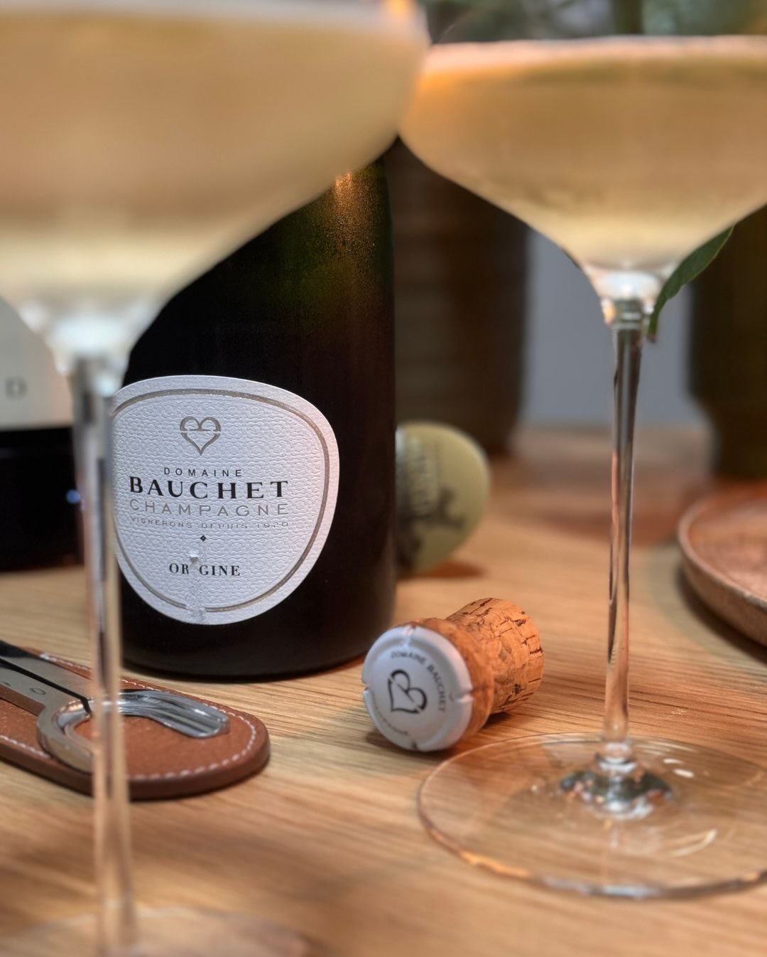 Nachdem ich den Mémoire 2018 von Bauchet Anfang Januar zu Semmelknödeln und Pilzen gefeiert habe, ist heute das Fundament des Hauses an der Reihe: die Cuvée Origine. Danach fehl… (10)