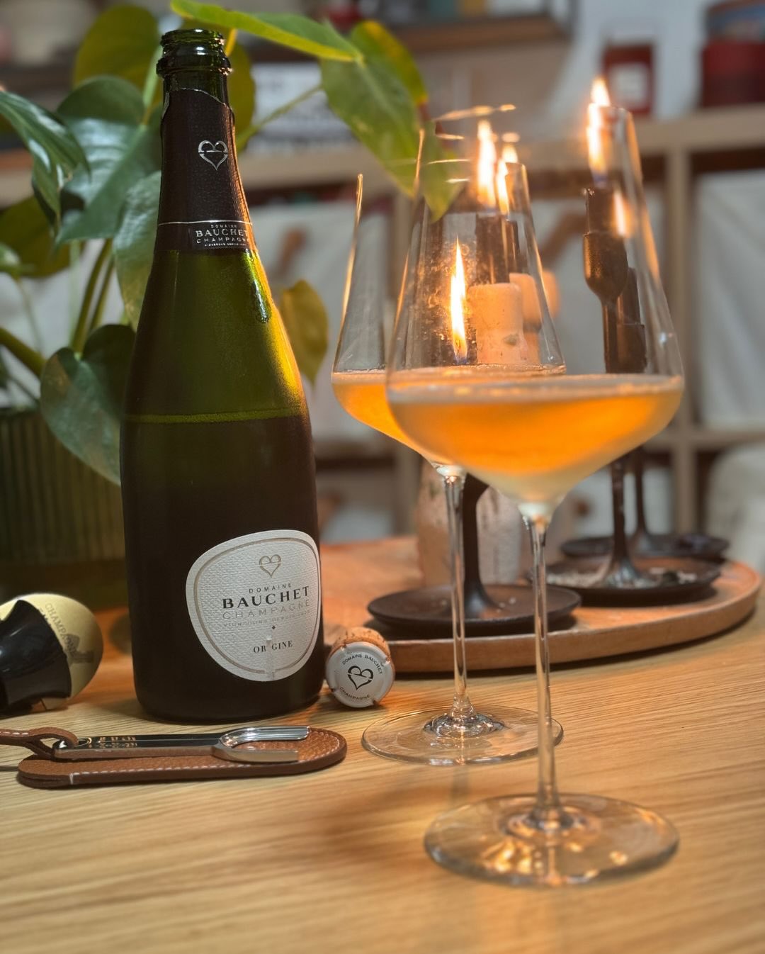 Nachdem ich den Mémoire 2018 von Bauchet Anfang Januar zu Semmelknödeln und Pilzen gefeiert habe, ist heute das Fundament des Hauses an der Reihe: die Cuvée Origine. Danach fehl… (7)