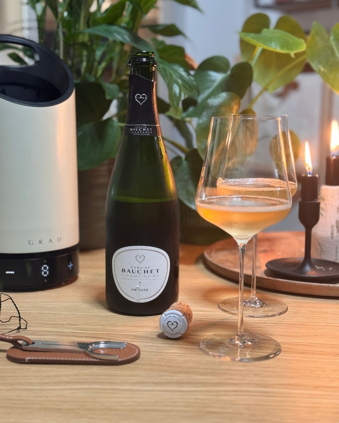 Nachdem ich den Mémoire 2018 von Bauchet Anfang Januar zu Semmelknödeln und Pilzen gefeiert habe, ist heute das Fundament des Hauses an der Reihe: die Cuvée Origine. Danach fehl… (8)