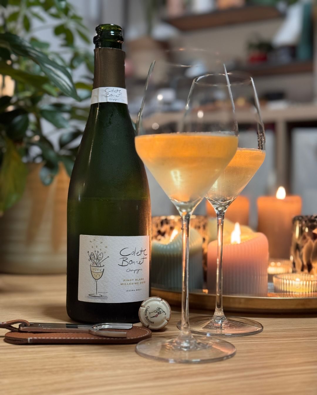 Als ich letzten Herbst die erste Flasche von @champagnecolettebonnet geöffnet hatte, war mir sofort klar: Davon muss ich alles probieren. Es gibt Weine, bei denen spürt man ab d… (8)