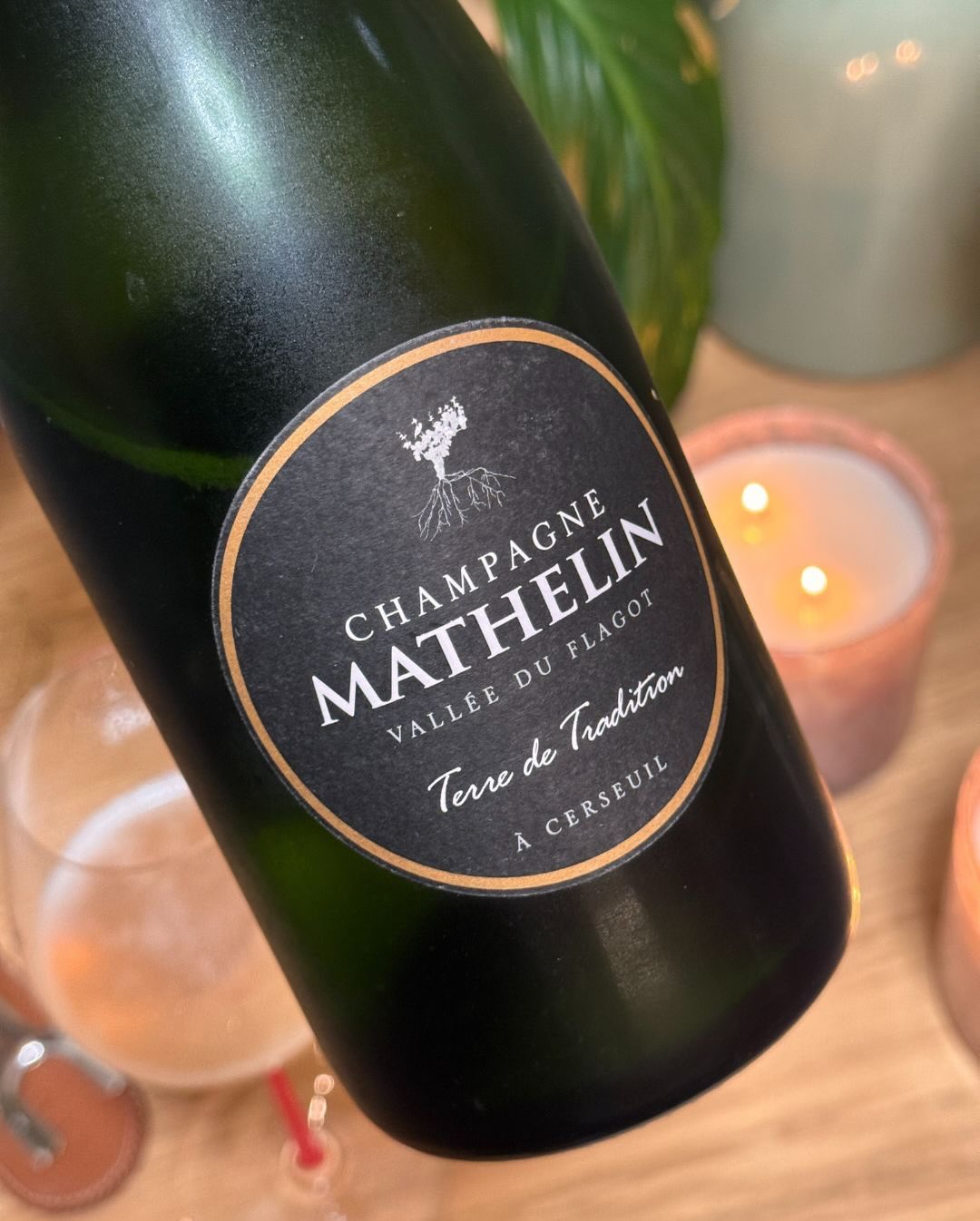 Heute habe ich einen äechter Klassiker aus dem Herzen der Marne geöffnet, der seinem Namen alle Ehre macht: Den „Terre de Tradition“ Brut von @champagne_mathelin . Das familieng… (10)