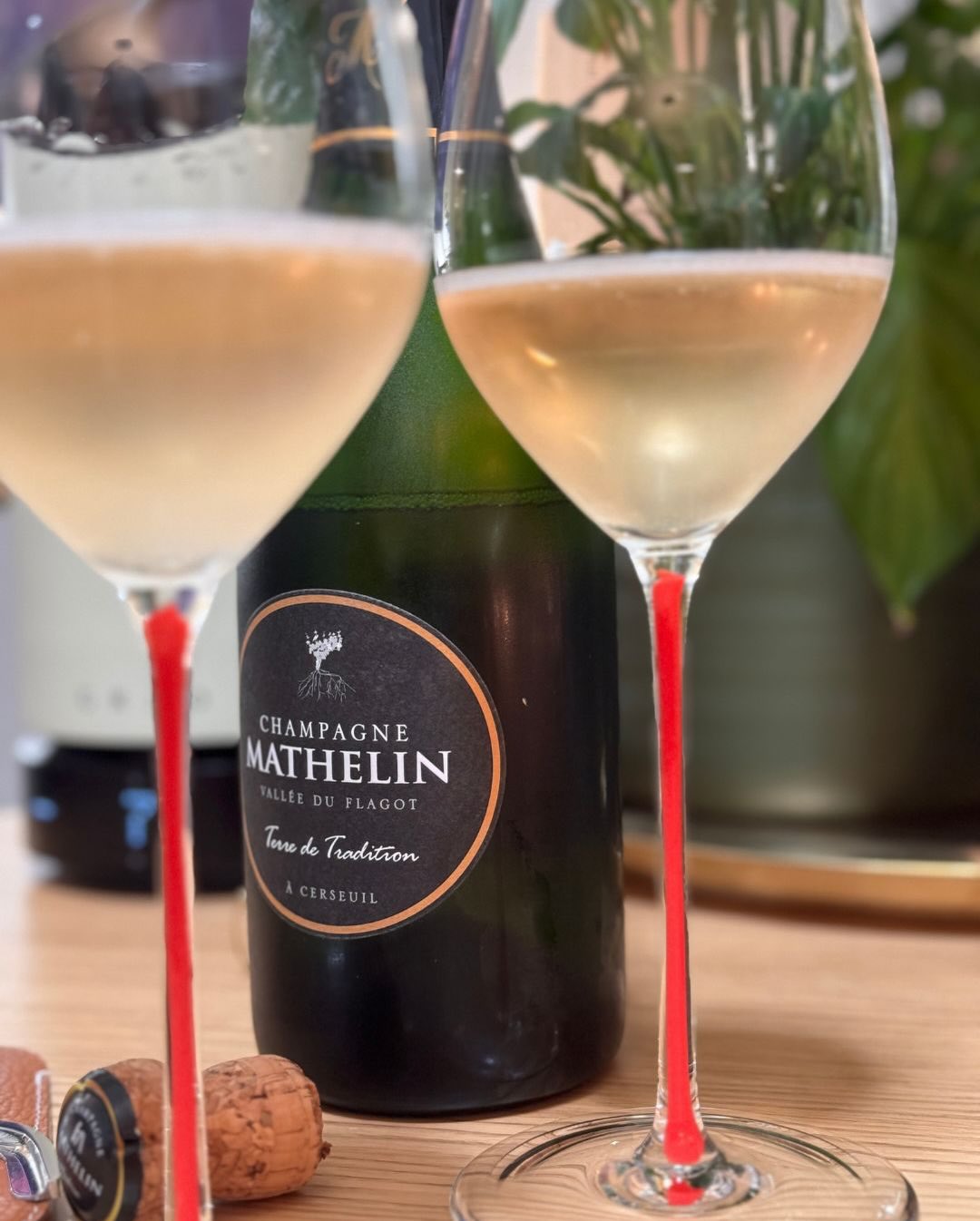 Heute habe ich einen äechter Klassiker aus dem Herzen der Marne geöffnet, der seinem Namen alle Ehre macht: Den „Terre de Tradition“ Brut von @champagne_mathelin . Das familieng… (7)