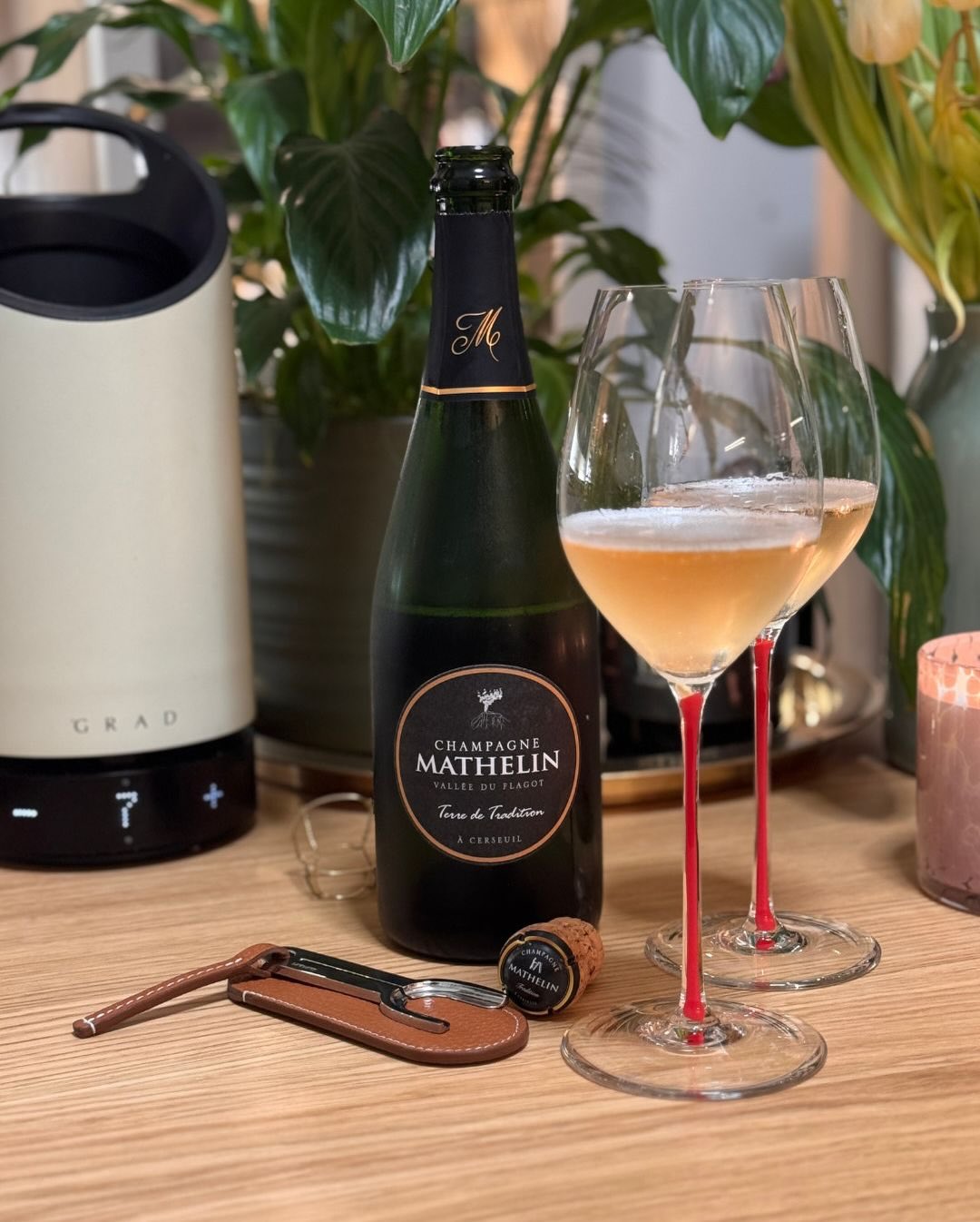 Heute habe ich einen äechter Klassiker aus dem Herzen der Marne geöffnet, der seinem Namen alle Ehre macht: Den „Terre de Tradition“ Brut von @champagne_mathelin . Das familieng… (8)