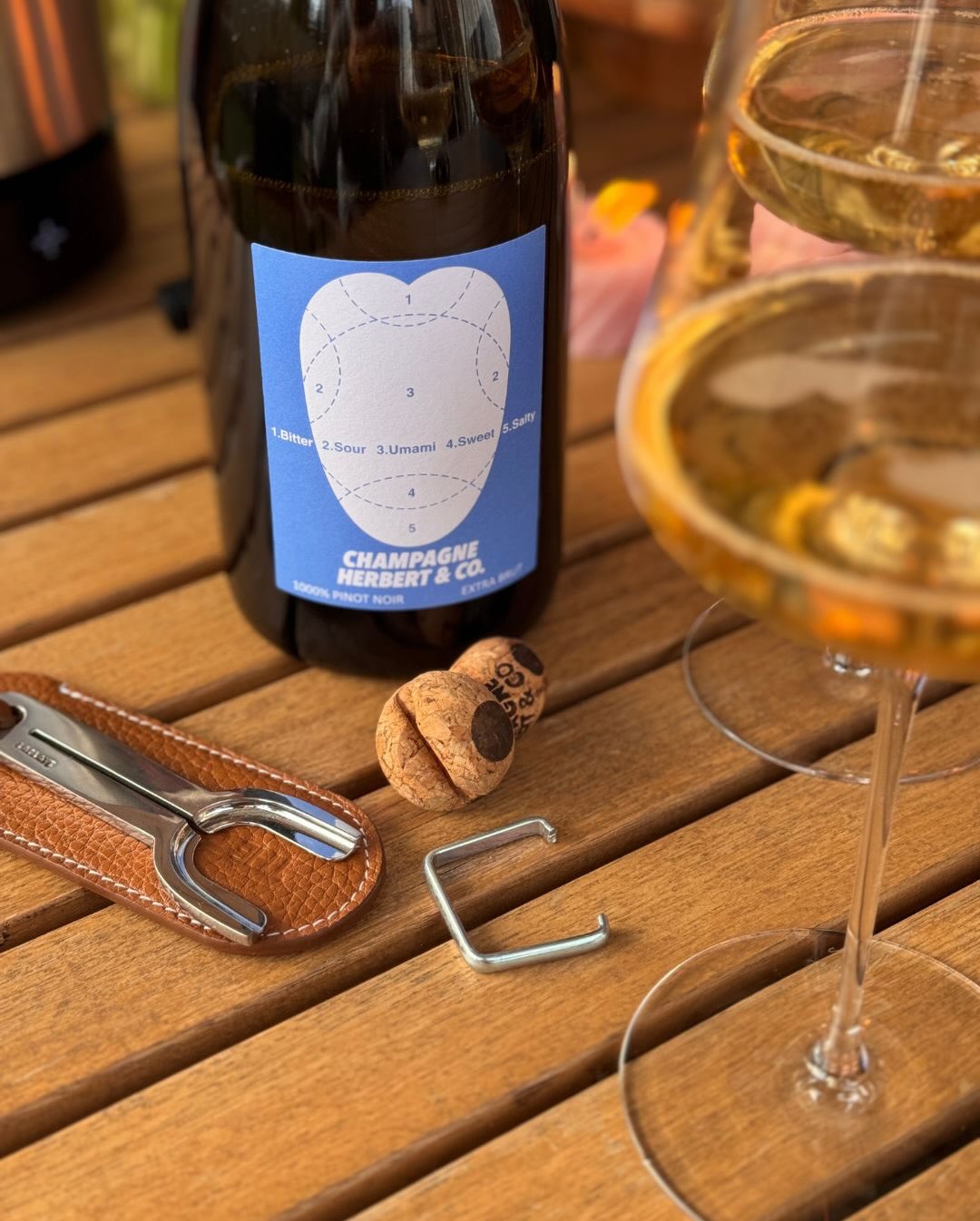 Heute gibts den 1000% Pinot Noir von @champagne_herbertandco . Von diesem kleinen, feinen Haus (geführt von @thomas___herbert und @charlottehbrt_ in Rilly-la-Montagne) hatte ich… (8)