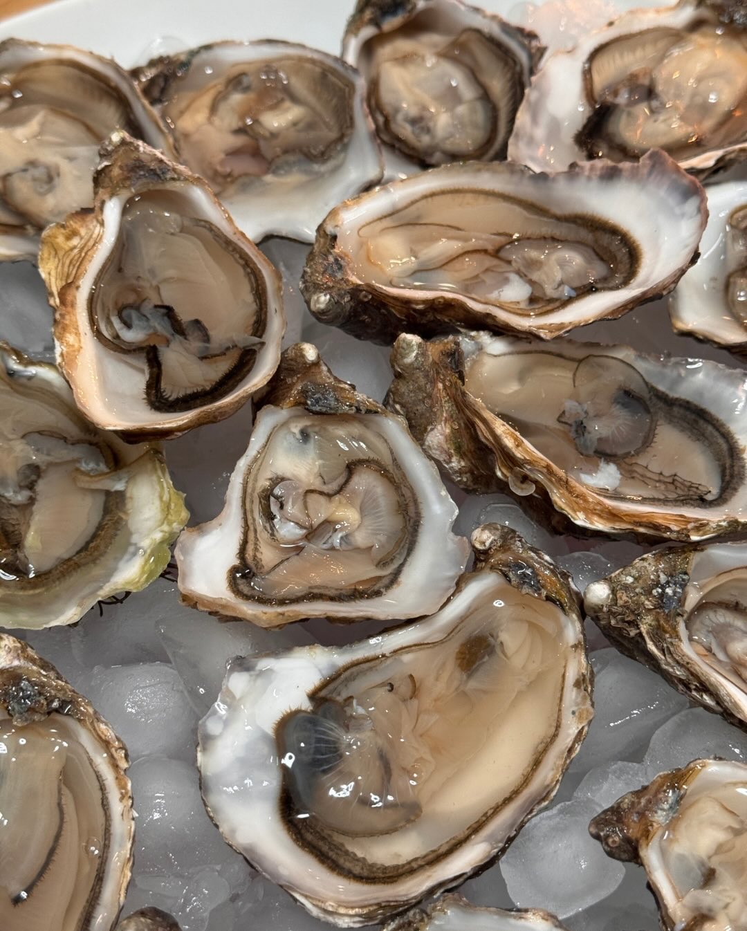Wenn der Tag mittags schon mit einem grandiosen Seafood-Menü startet, wie kann man ihn dann abends noch toppen? Richtig, mit 20 frischen Austern 🦪 von @sofisch_graz und dem per… (8)