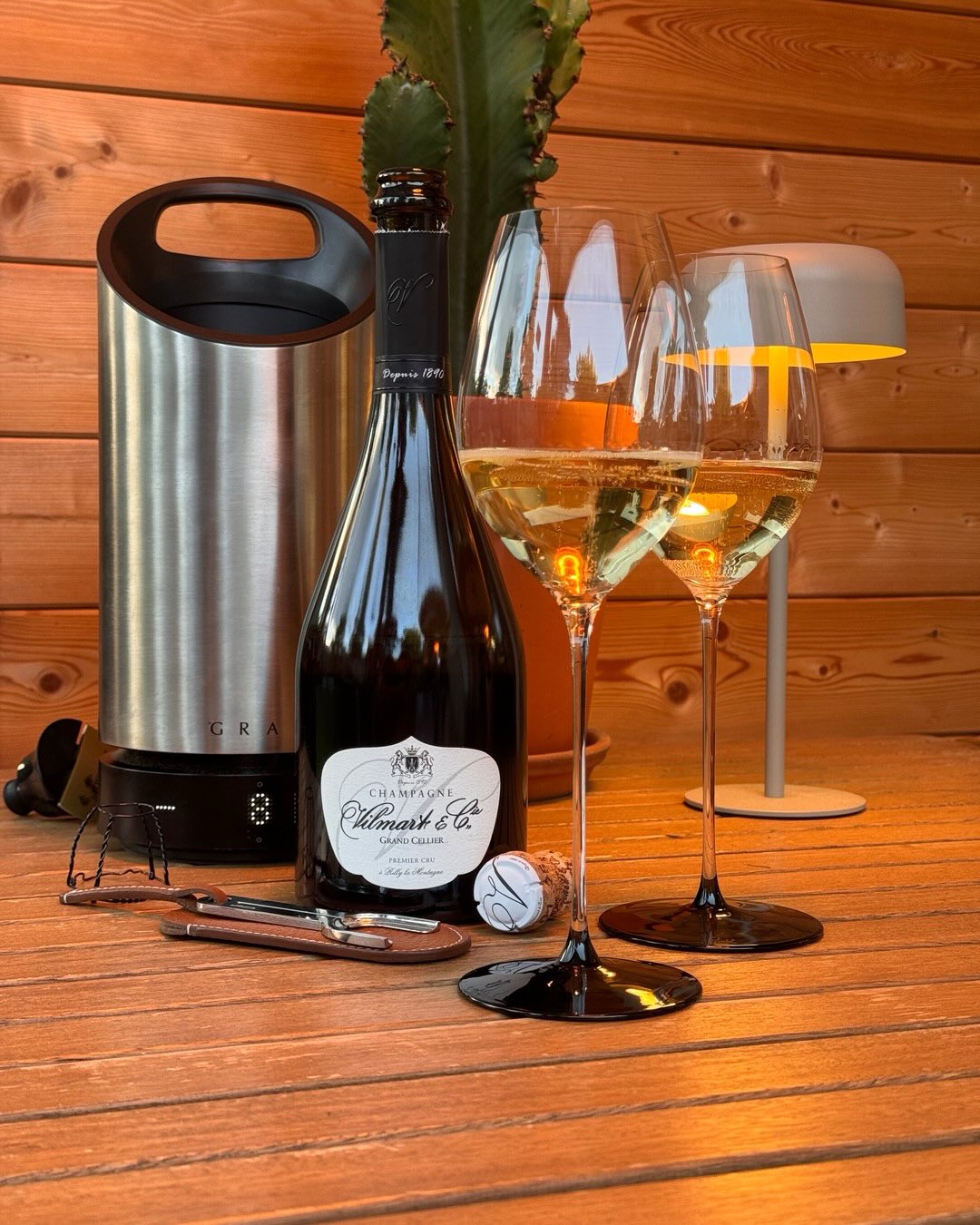Dieser Grand Cellier zeigt sofort, warum Premier Cru aus Rilly-la-Montagne etwas Besonderes ist. Die goldgelbe Farbe und die lebendige Mousse sind dabei nur der Anfang. Hier ent… (1)
