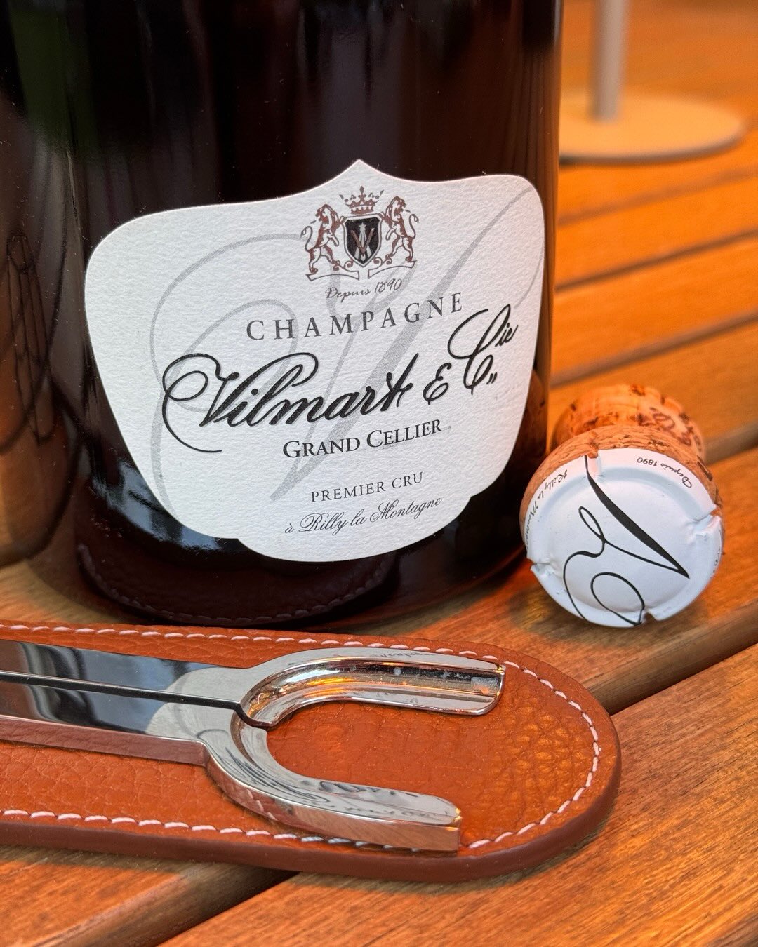 Dieser Grand Cellier zeigt sofort, warum Premier Cru aus Rilly-la-Montagne etwas Besonderes ist. Die goldgelbe Farbe und die lebendige Mousse sind dabei nur der Anfang. Hier ent… (5)