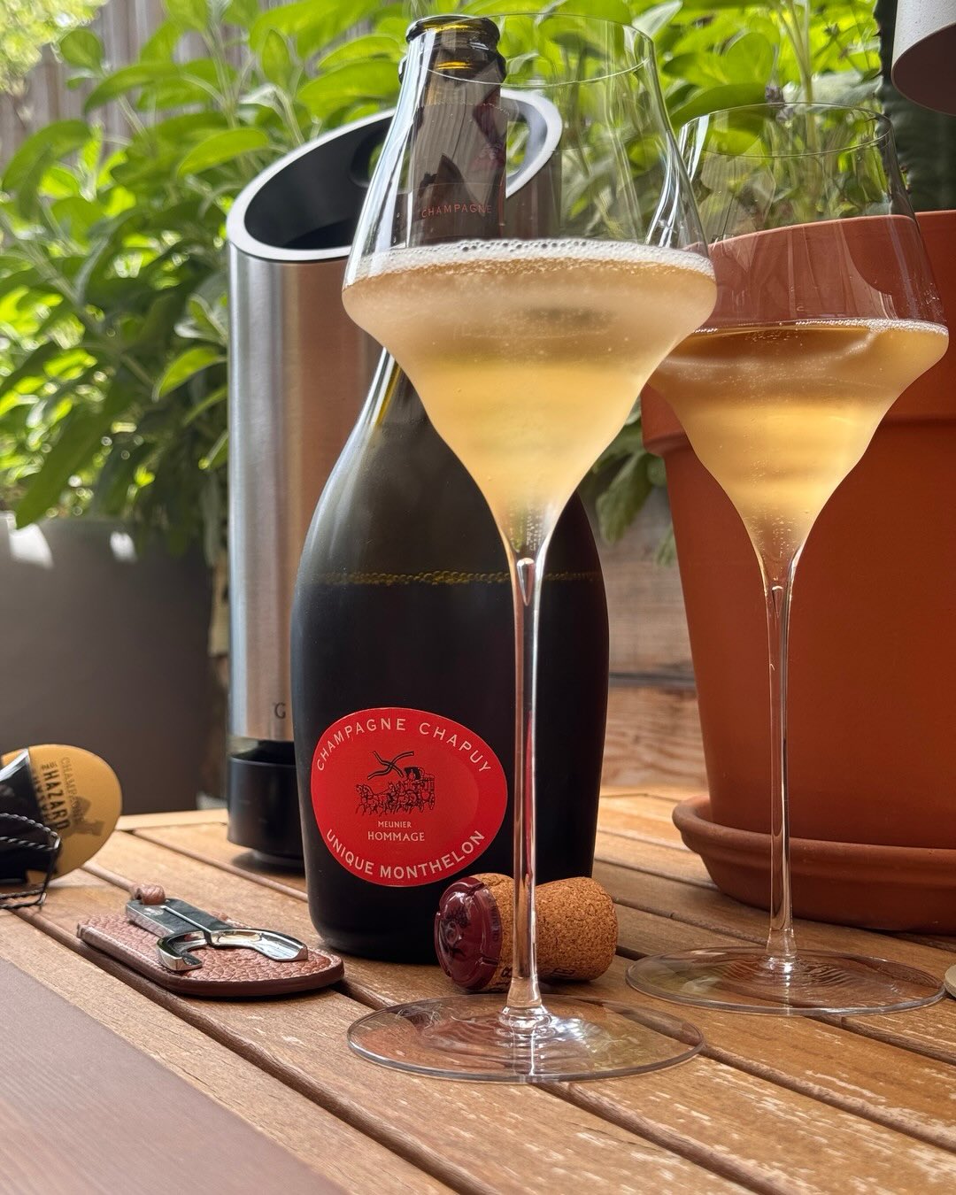 Weiter geht’s mit Teil 2 der Esprit-Chapuy-Reihe: nach dem Chardonnay aus dem Sézannais jetzt der 100% Meunier aus Monthelon dran. Eine echte Rarität, nur 1780 Flaschen. Die Aro… (5)