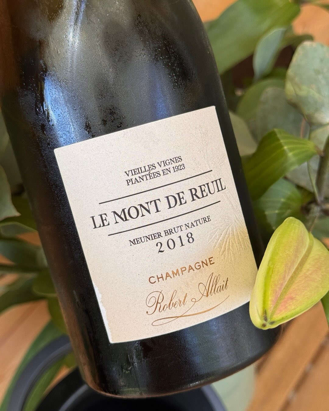 Was bleibt nach 103 Jahren noch von einer Rebe? Beim Le Mont de Reuil 2018 von @champagnerobertallait sind es 100% Meunier aus Rebstöcken von 1923 deren Geschichte man schmecken… (9)
