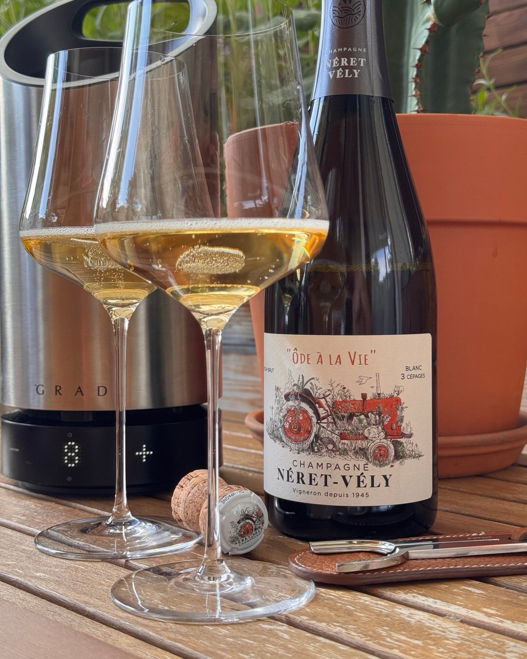 Die Cuvée „Ôde à la Vie“ von @champagneretvely aus Festigny und Vauchamps in der Vallée de la Marne ist allein schon vom Label her wunderschön und ich habe mich auf diese Flasch… (6)