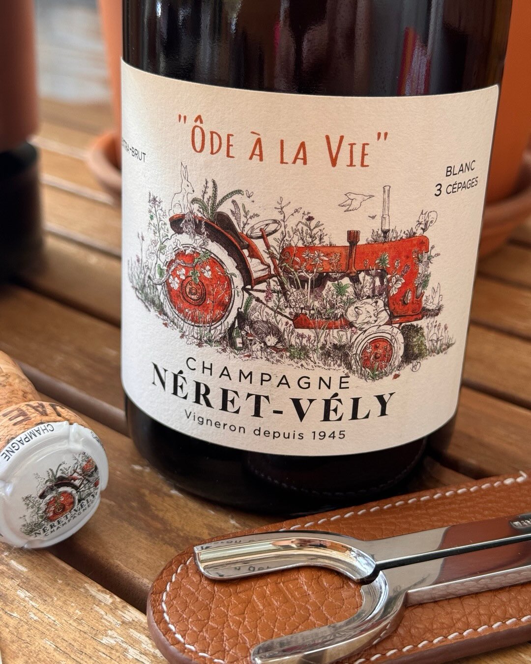Die Cuvée „Ôde à la Vie“ von @champagneretvely aus Festigny und Vauchamps in der Vallée de la Marne ist allein schon vom Label her wunderschön und ich habe mich auf diese Flasch… (8)