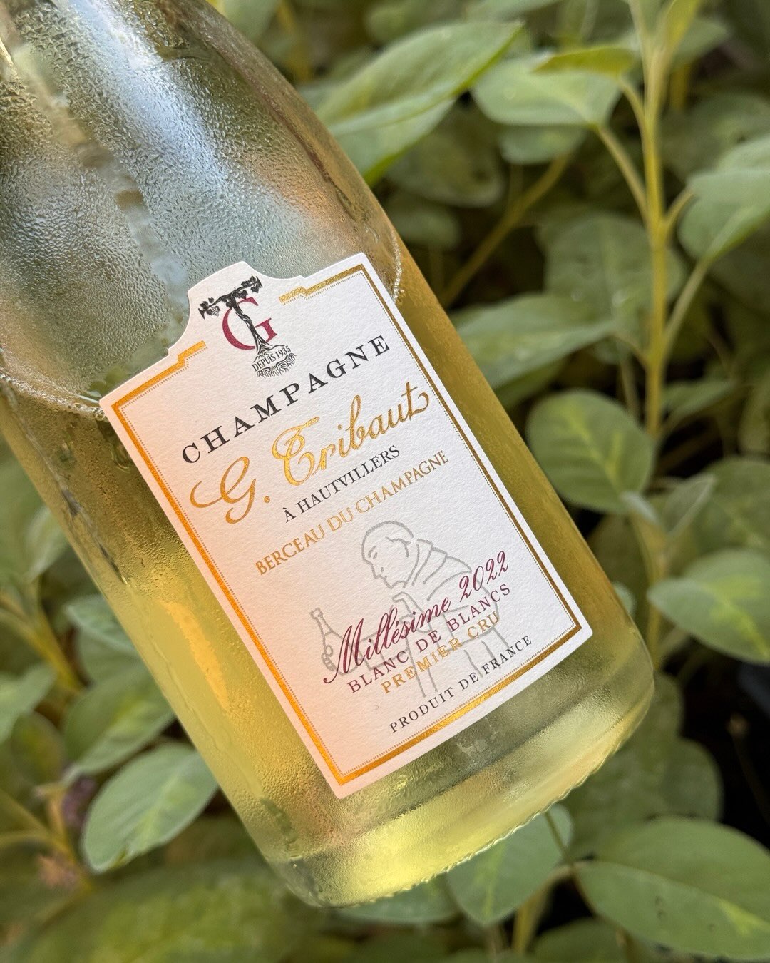 2022 ist ein Jahrgang, der mich überrascht hat. Blanc de Blancs von @champagne_g.tribaut mit Frucht, konzentriert, fast schon saftig. Was ich sagen kann: das 2022 war klimatisch… (8)
