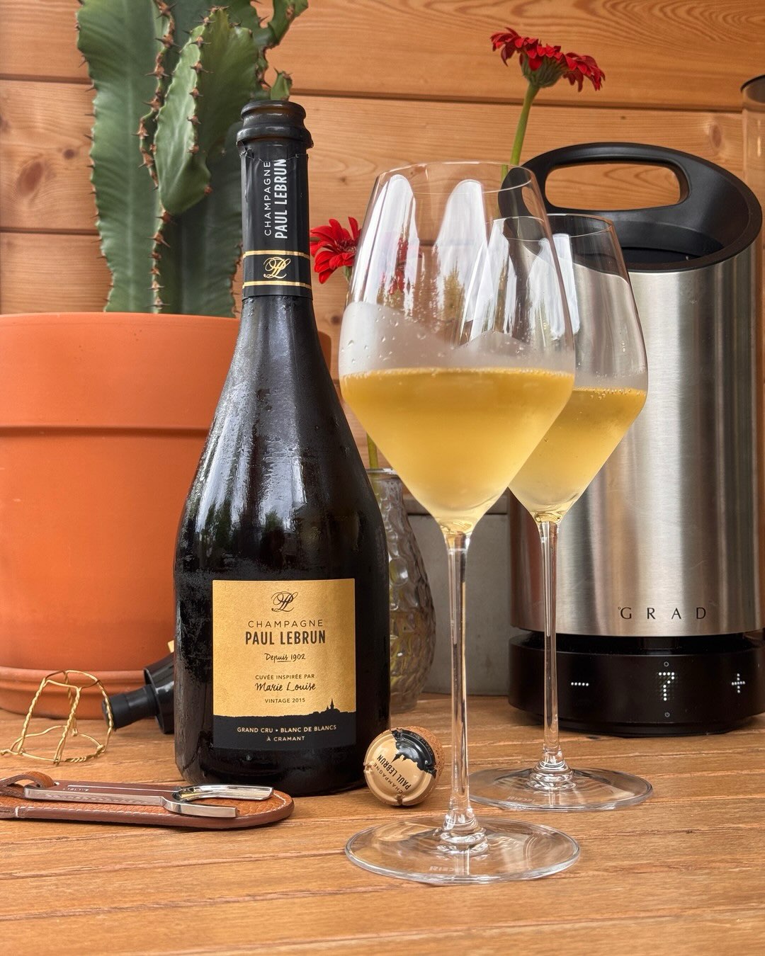 Mit der Cuvée Marie-Louise 2015 hatte ich mal wieder eine ganz besondere Flasche. Der Jahrgang 2015 ist nicht nur sonnenstark und reif und geprägt von natürlicher Fruchtfülle, s… (1)