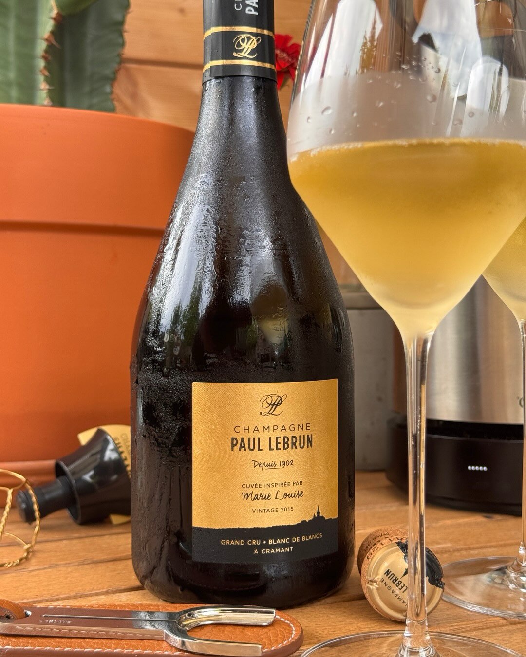 Mit der Cuvée Marie-Louise 2015 hatte ich mal wieder eine ganz besondere Flasche. Der Jahrgang 2015 ist nicht nur sonnenstark und reif und geprägt von natürlicher Fruchtfülle, s… (7)
