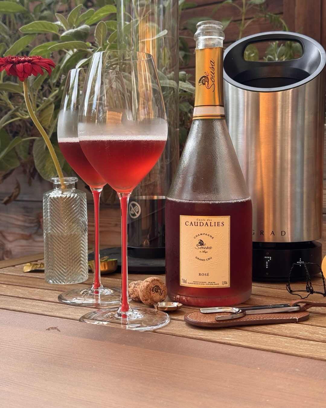 Die Farbe irritiert mich bei dieser Flasche. Ein tiefes Rubinrot, fast wie ein Saignée-Rosé aber beim Aroma keine dunkle Beerenfrucht, kein schweres Kompott sondern Rhabarber, G… (1)