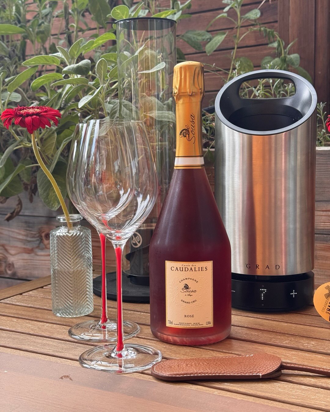 Die Farbe irritiert mich bei dieser Flasche. Ein tiefes Rubinrot, fast wie ein Saignée-Rosé aber beim Aroma keine dunkle Beerenfrucht, kein schweres Kompott sondern Rhabarber, G… (3)