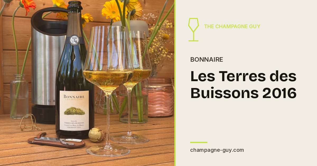 Bonnaire: Les Terres des Buissons 2016