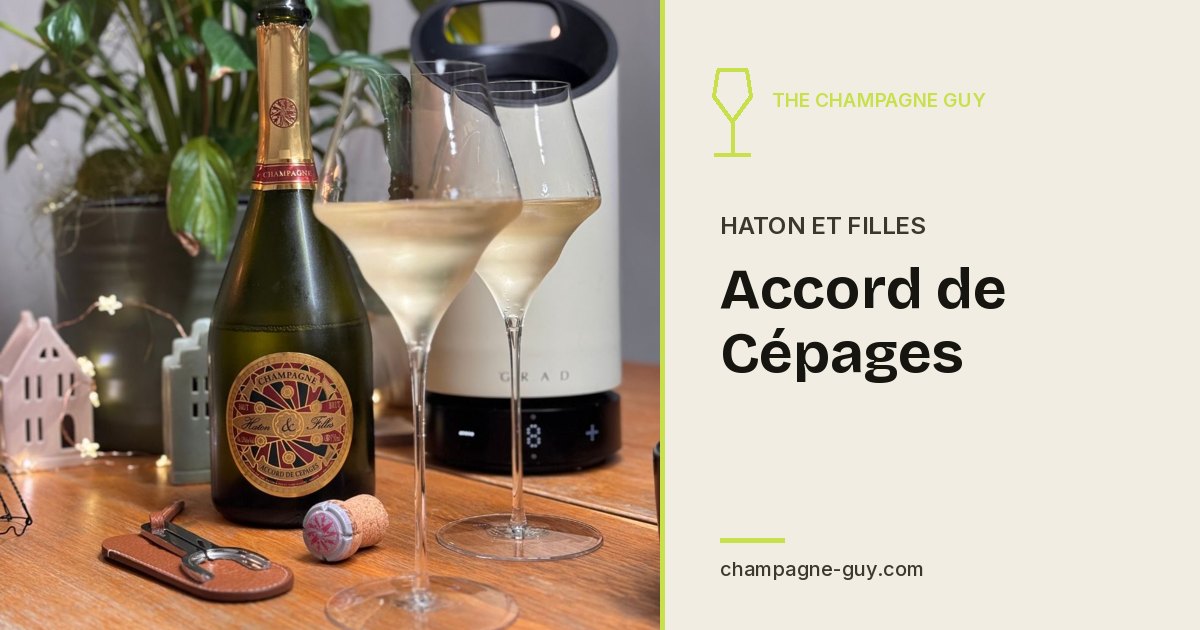 Champagne Haton et Filles: Accord de Cépages