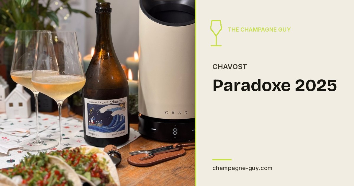 Chavost: Paradoxe 2025