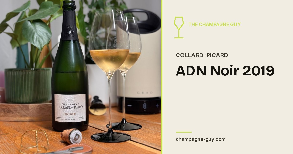 Collard-Picard: ADN Noir 2019