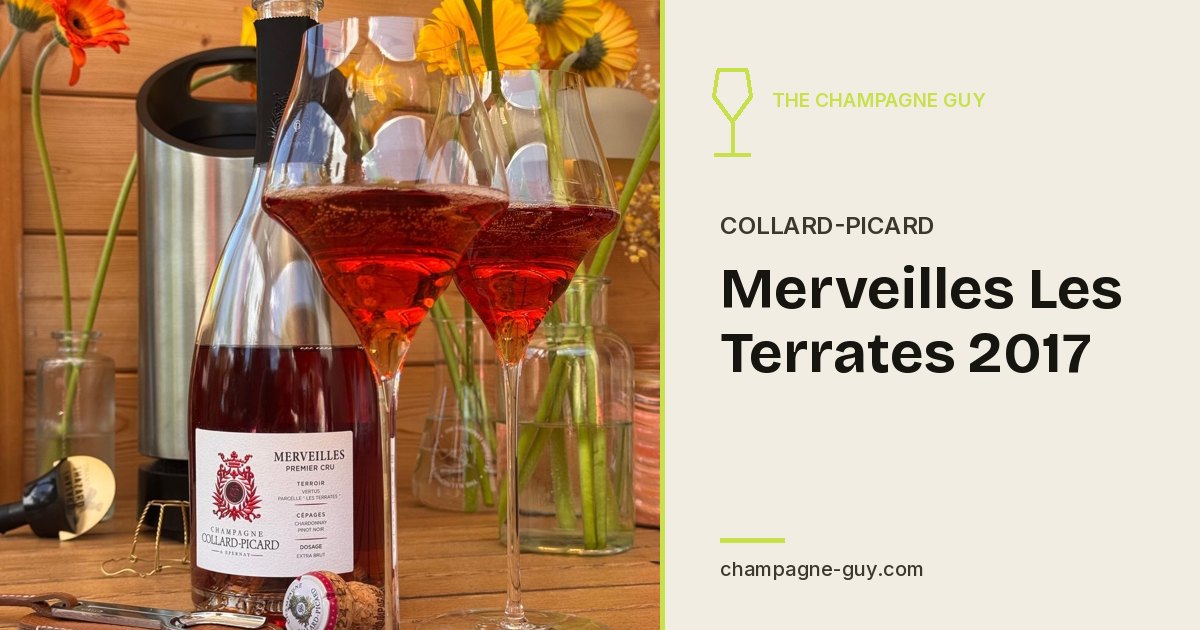Collard-Picard: Merveilles Les Terrates 2017