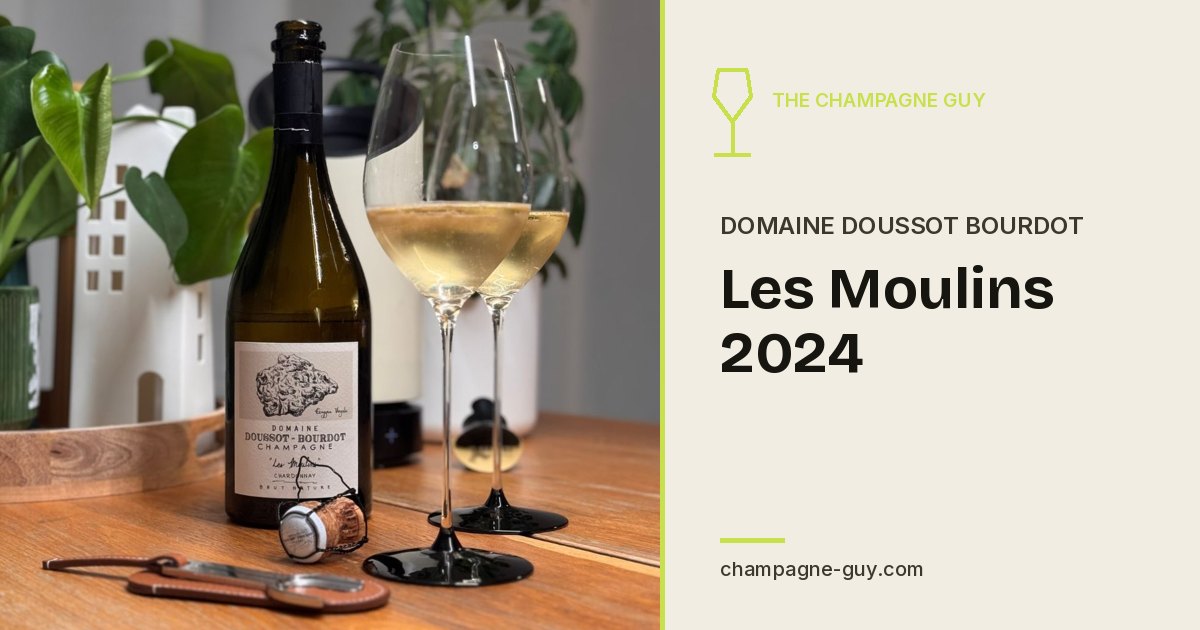 Domaine Doussot Bourdot: Les Moulins 2024