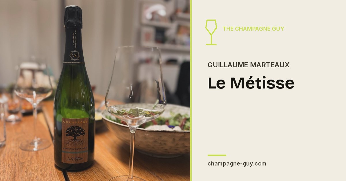 Guillaume Marteaux: Le Métisse