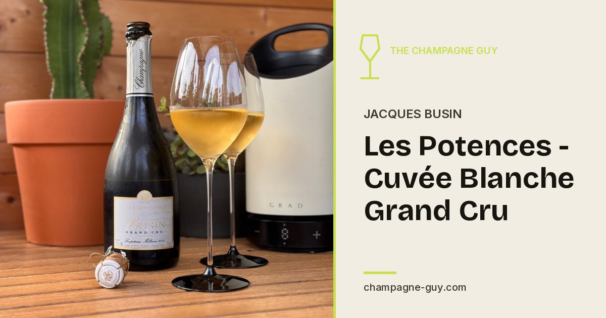Jacques Busin: Les Potences - Cuvée Blanche Grand Cru