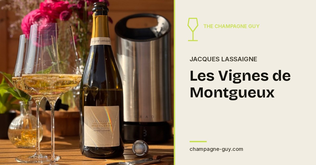 Jacques Lassaigne: Les Vignes de Montgueux