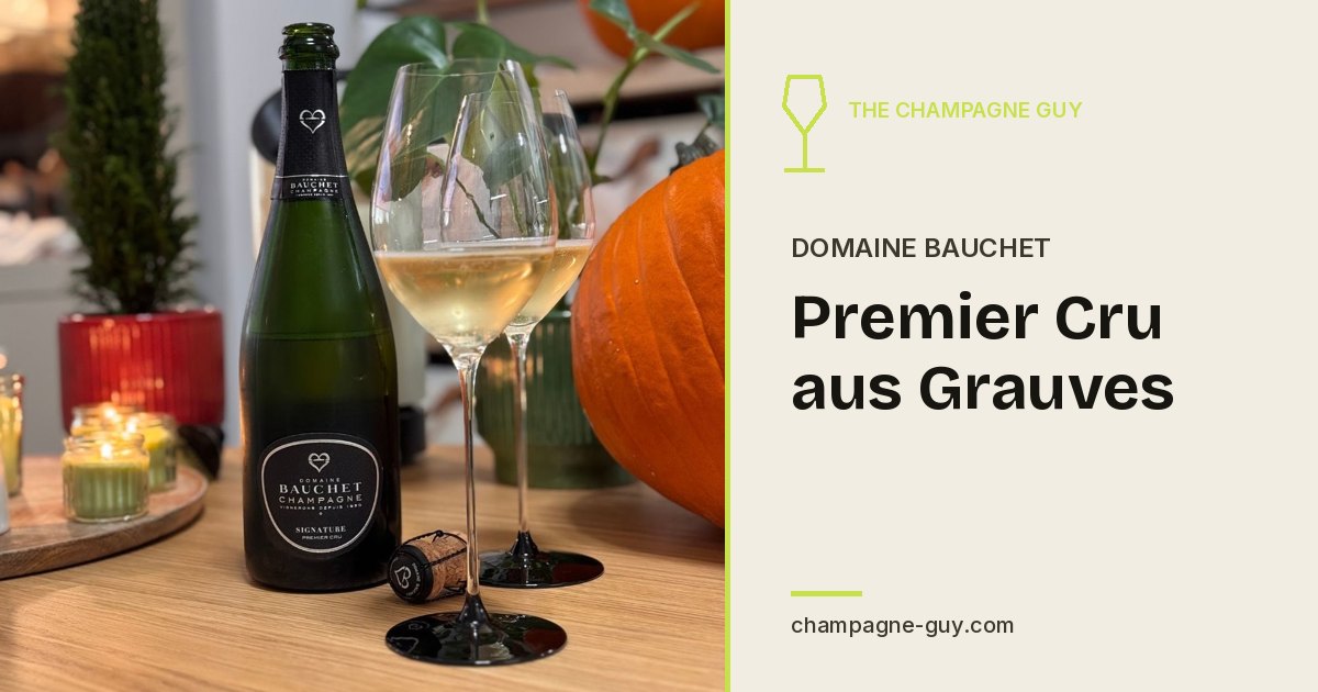 Domaine Bauchet: Premier Cru aus Grauves